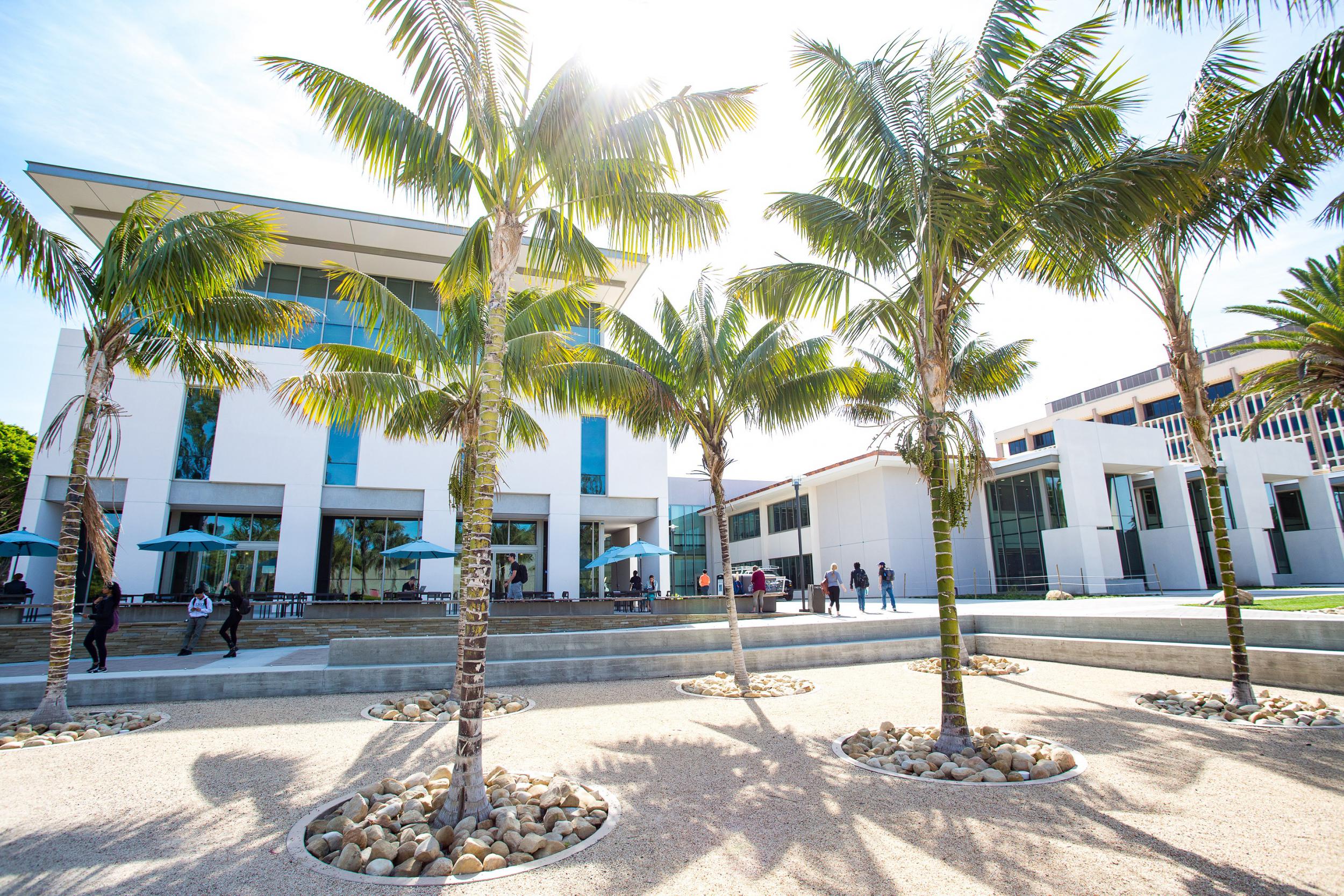 Hiring: Temporary Lecturers, Department of Global Studies article image