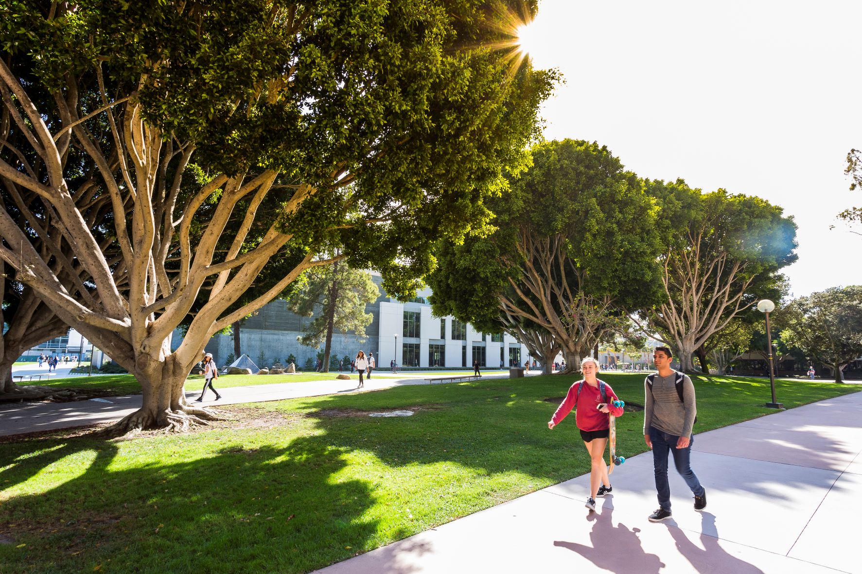 Welcome from new Department Chair Paul Amar article image